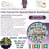 AUT024-100 Irish Course for Special Needs Assistants