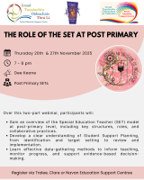AUT25-162 The Role of the SET at Post Primary